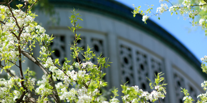 PG电子·仿照器(试玩游戏)官方网站