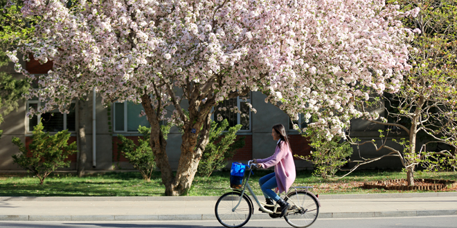 PG电子·仿照器(试玩游戏)官方网站