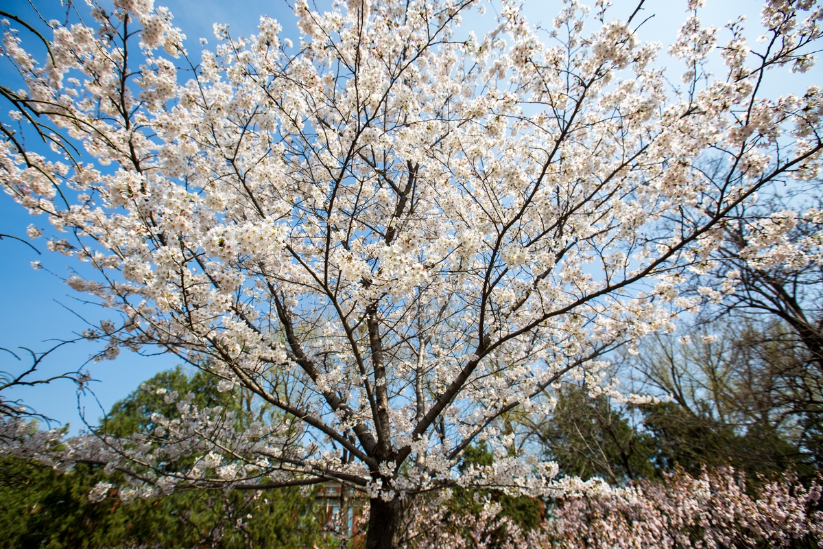 PG电子·仿照器(试玩游戏)官方网站