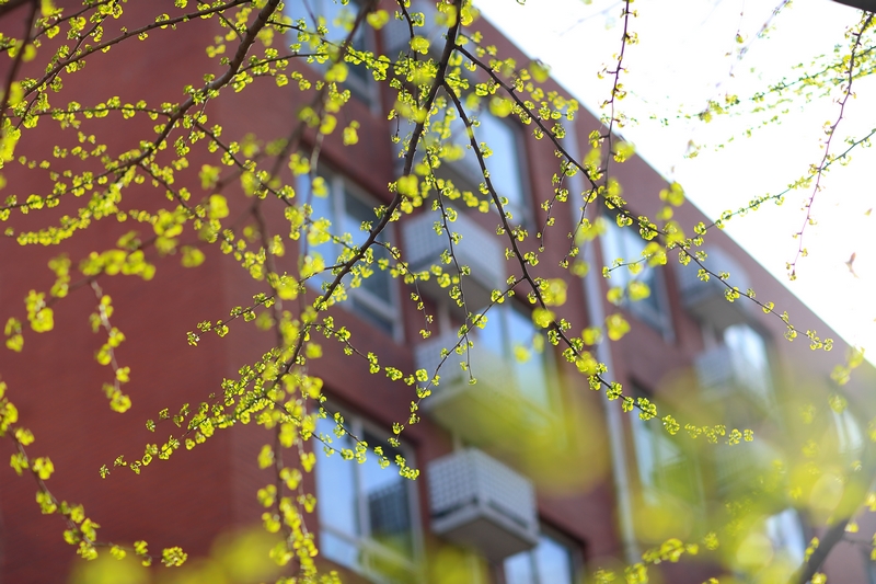 PG电子·仿照器(试玩游戏)官方网站