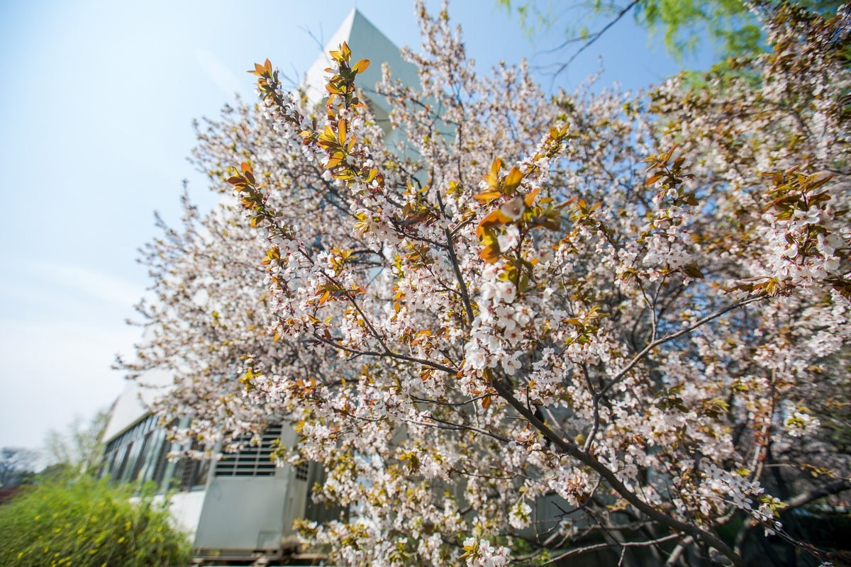 PG电子·仿照器(试玩游戏)官方网站