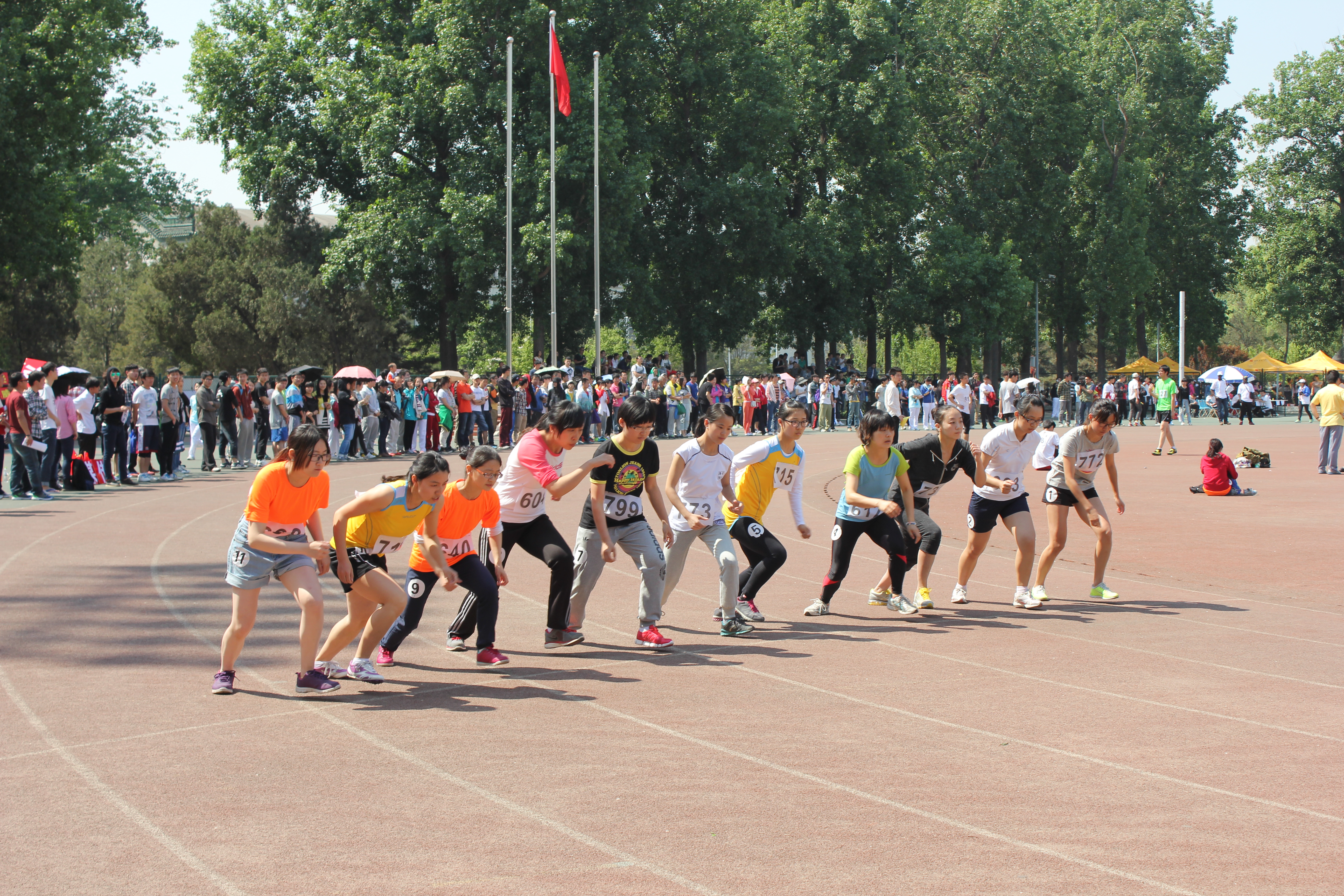 PG电子·仿照器(试玩游戏)官方网站