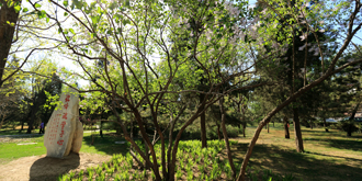 PG电子·仿照器(试玩游戏)官方网站