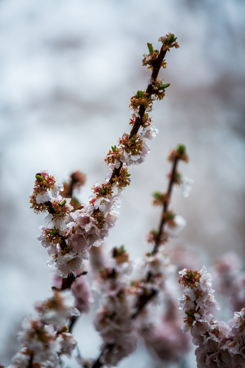 PG电子·仿照器(试玩游戏)官方网站