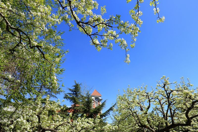 PG电子·仿照器(试玩游戏)官方网站