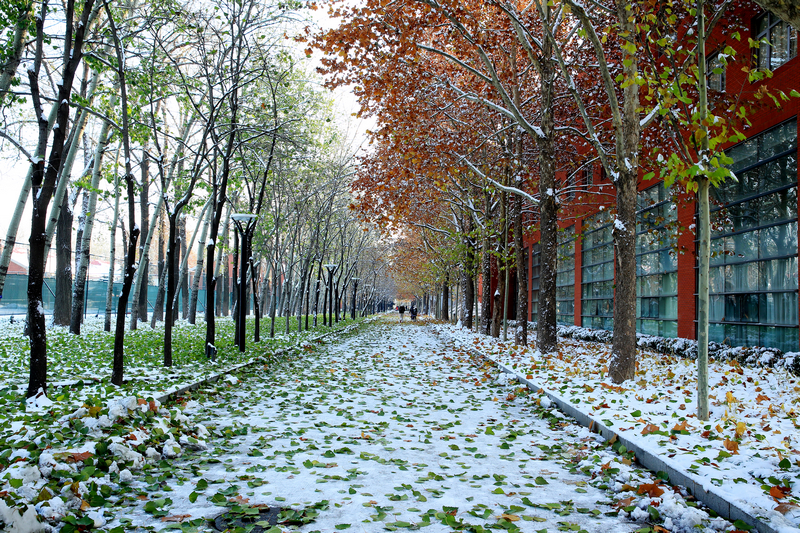 PG电子·仿照器(试玩游戏)官方网站