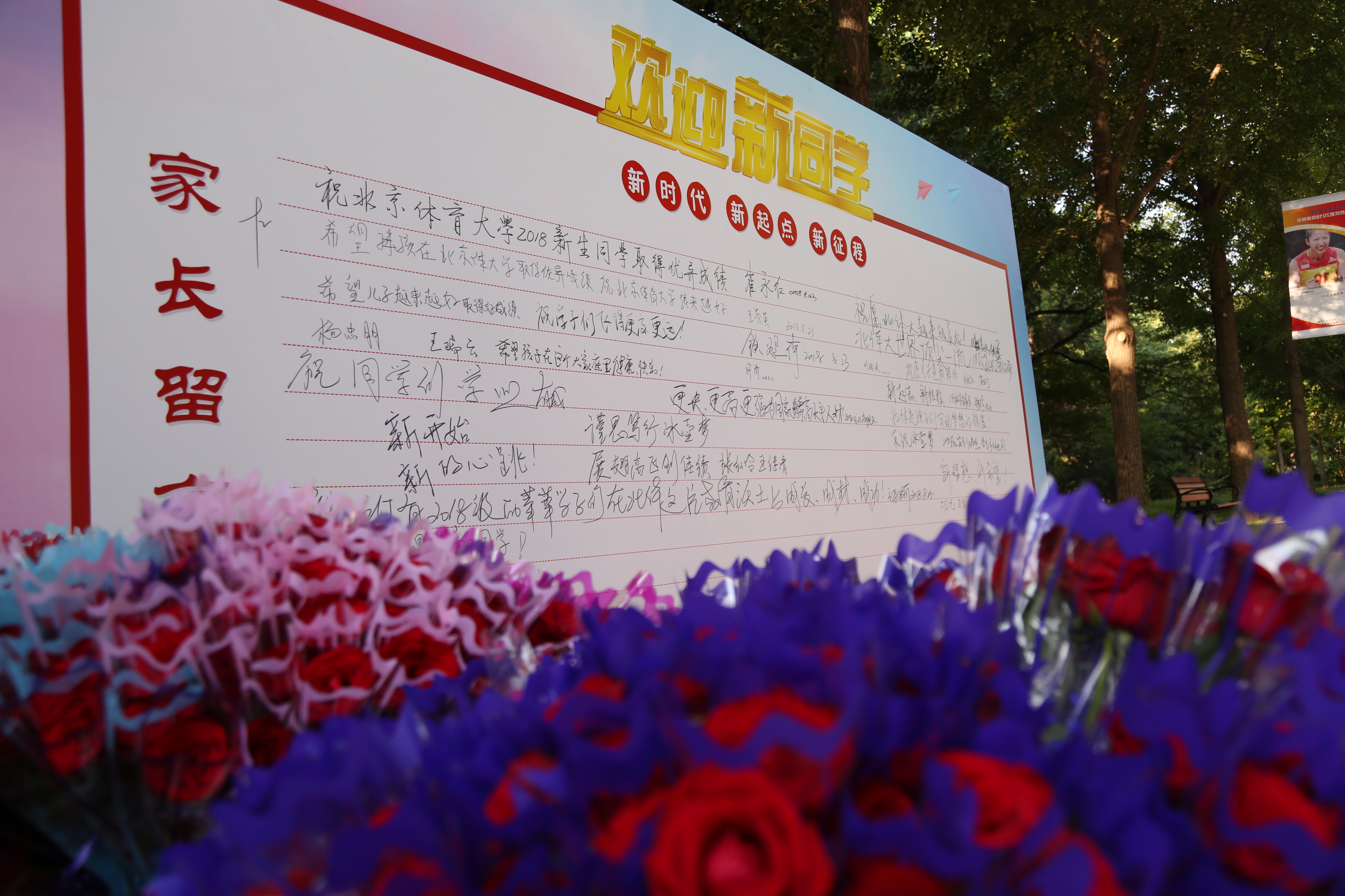 PG电子·仿照器(试玩游戏)官方网站