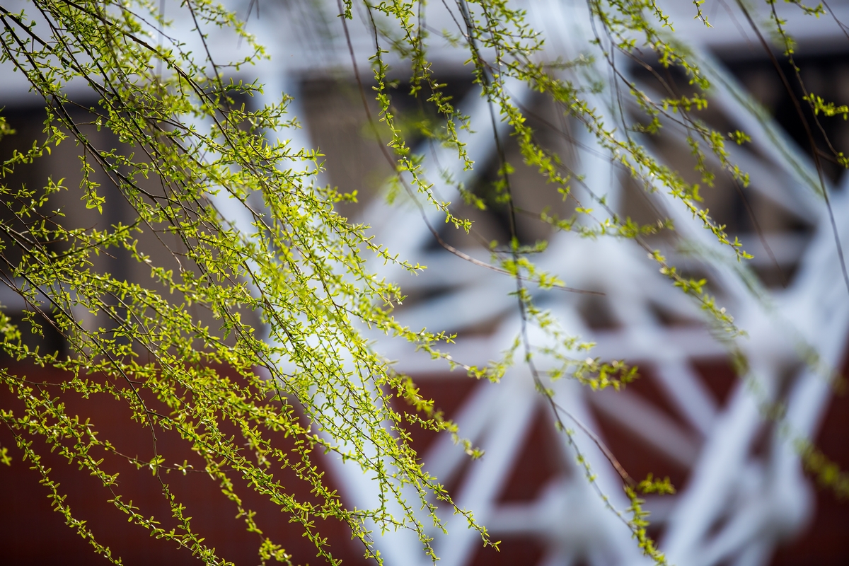 PG电子·仿照器(试玩游戏)官方网站