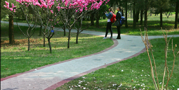 PG电子·仿照器(试玩游戏)官方网站