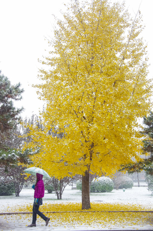 PG电子·仿照器(试玩游戏)官方网站