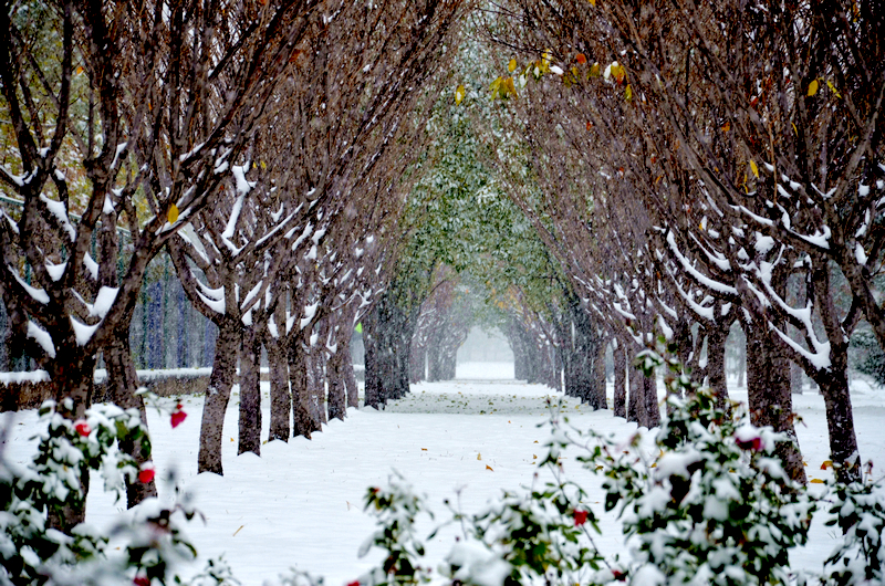 PG电子·仿照器(试玩游戏)官方网站