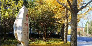 PG电子·仿照器(试玩游戏)官方网站