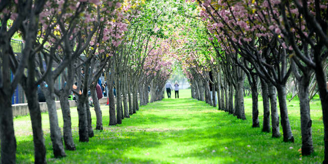 PG电子·仿照器(试玩游戏)官方网站