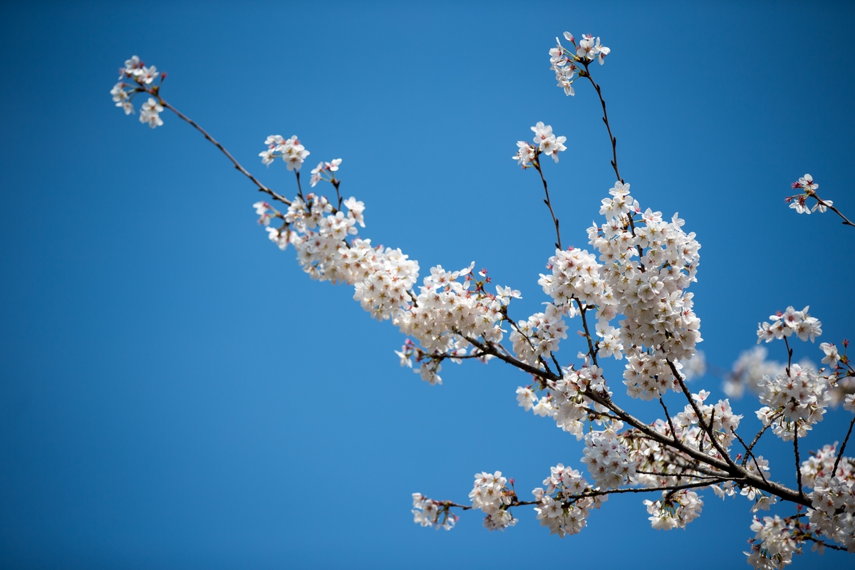 PG电子·仿照器(试玩游戏)官方网站