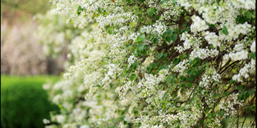 PG电子·仿照器(试玩游戏)官方网站