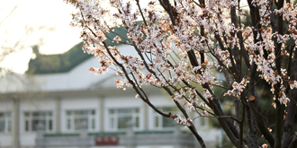 PG电子·仿照器(试玩游戏)官方网站