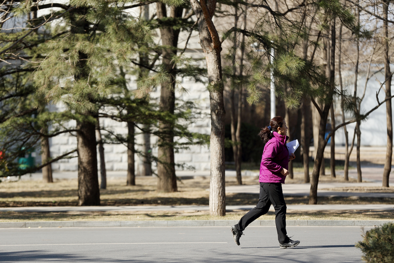 PG电子·仿照器(试玩游戏)官方网站