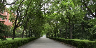 PG电子·仿照器(试玩游戏)官方网站