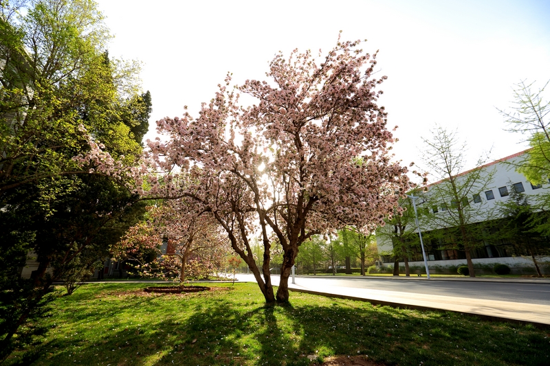 PG电子·仿照器(试玩游戏)官方网站