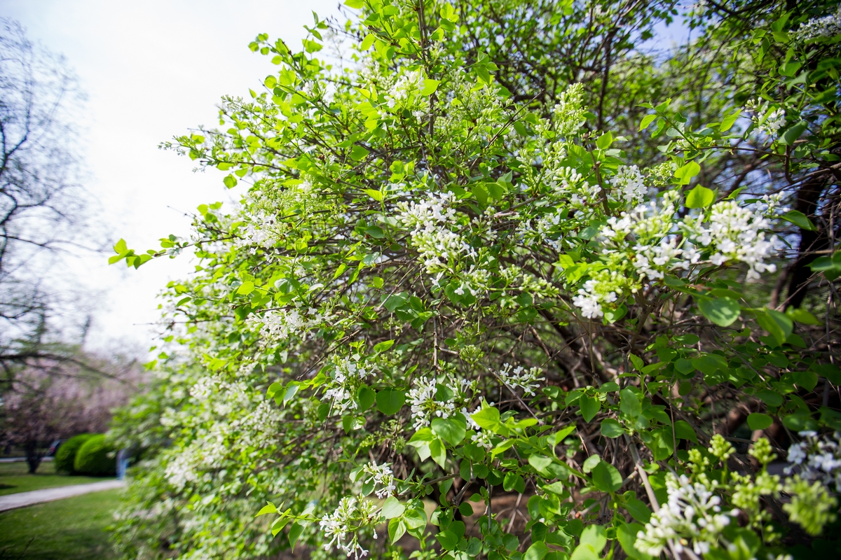 PG电子·仿照器(试玩游戏)官方网站