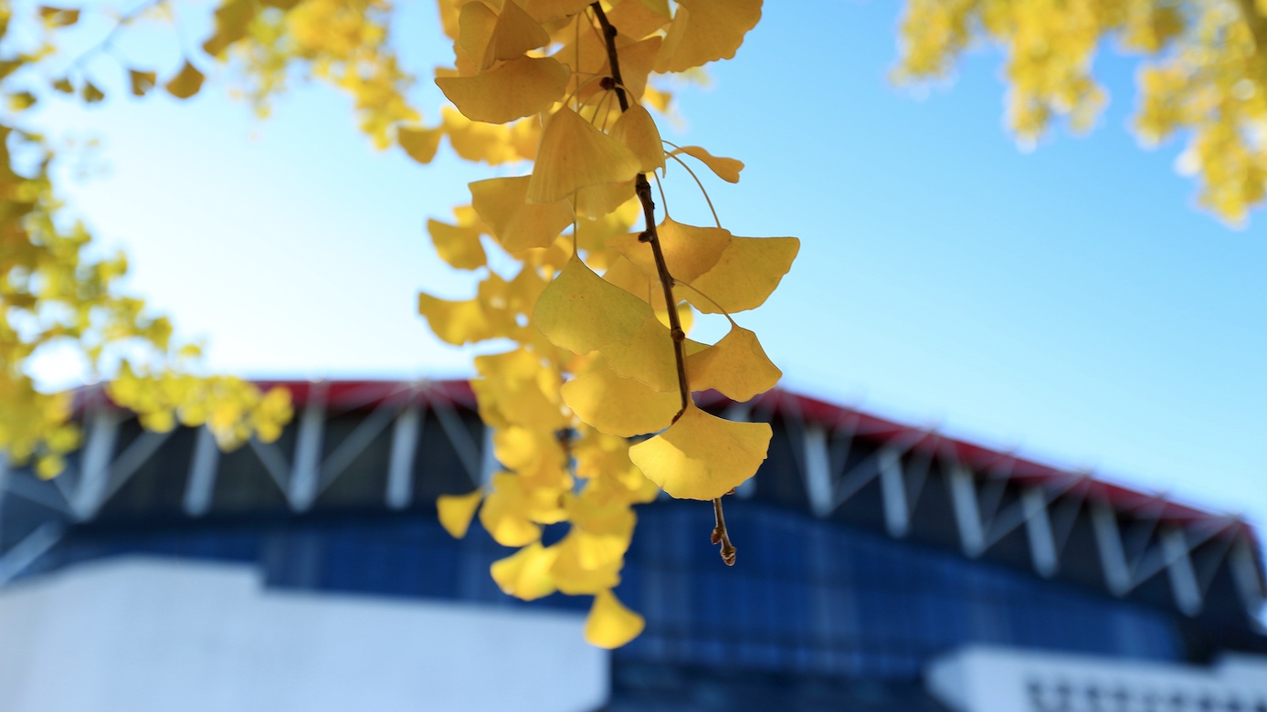 PG电子·仿照器(试玩游戏)官方网站