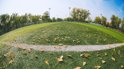 PG电子·仿照器(试玩游戏)官方网站