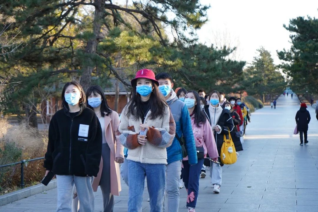 PG电子·仿照器(试玩游戏)官方网站