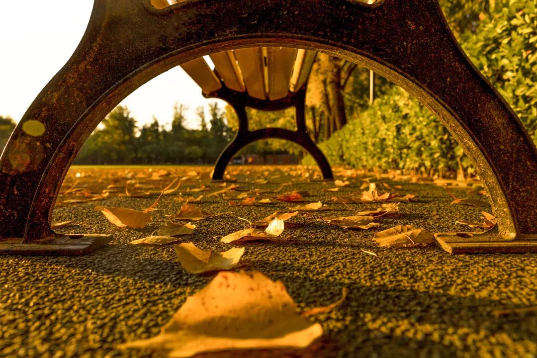 PG电子·仿照器(试玩游戏)官方网站