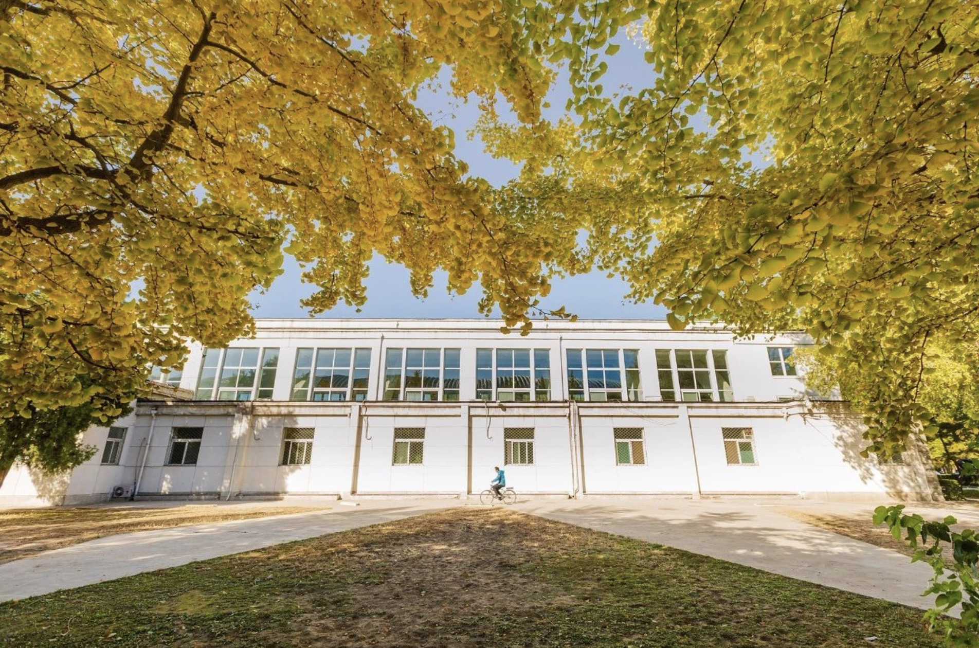 PG电子·仿照器(试玩游戏)官方网站