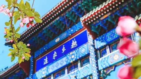 PG电子·仿照器(试玩游戏)官方网站