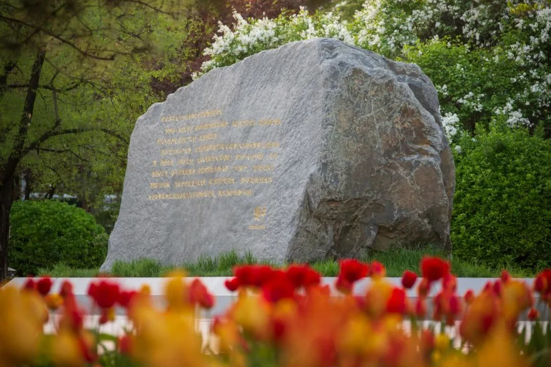 PG电子·仿照器(试玩游戏)官方网站