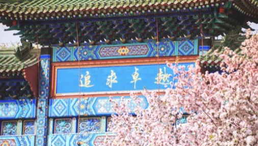 PG电子·仿照器(试玩游戏)官方网站