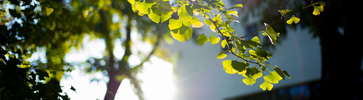 PG电子·仿照器(试玩游戏)官方网站